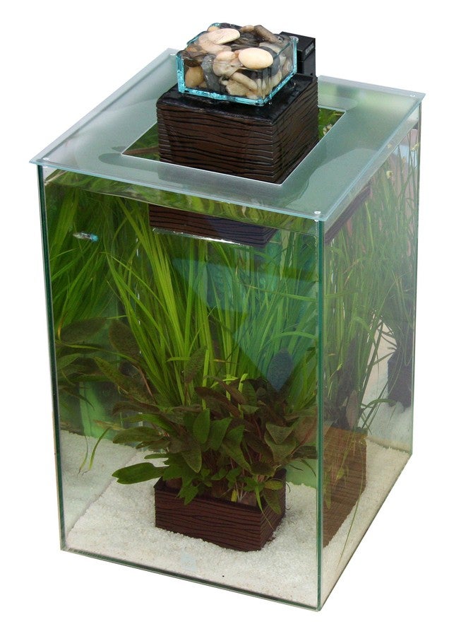 هاغن غطاء فلوفال تشي - Image 2